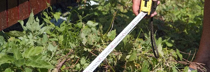 Person misst Wiese mit Maßband aus